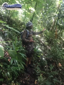 Exploration de la jungle en Guadeloupe avec Akwaform Randonnées