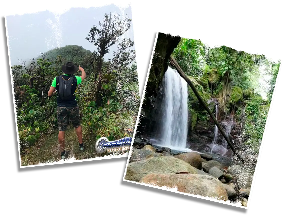 Cascade découverte lors d'une randonnée avec Akwaform Randonnées Guadeloupe