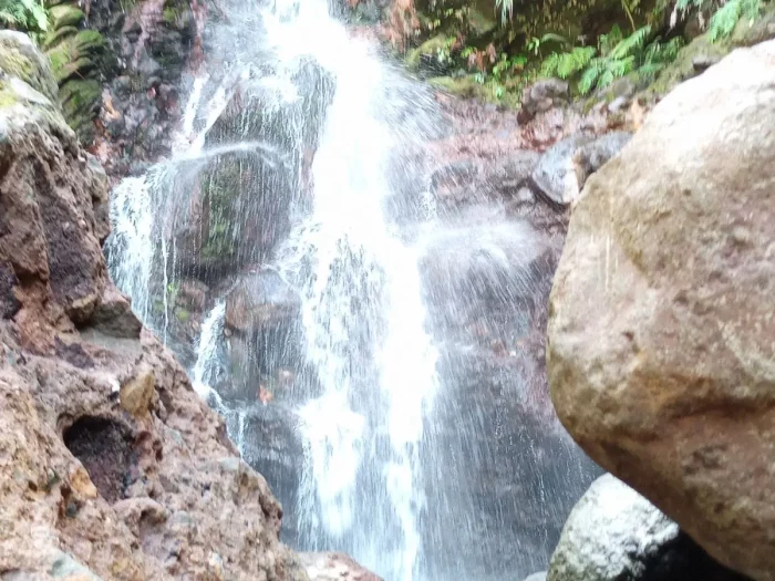 Waterfall_hike_guadeloupe